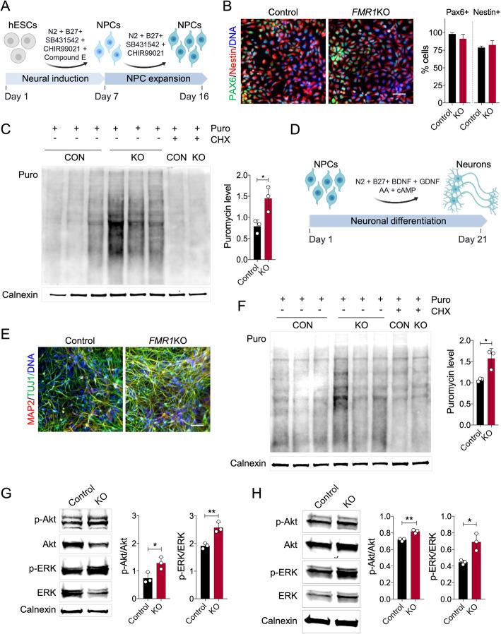 https://cdn.ncbi.nlm.nih.gov/pmc/blobs/0fe1/7251671/7d178f62545b/13229_2020_350_Fig2_HTML.jpg