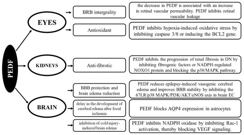 https://cdn.ncbi.nlm.nih.gov/pmc/blobs/0fe2/11504982/a8c8ffb814f1/biomedicines-12-02260-g002.jpg