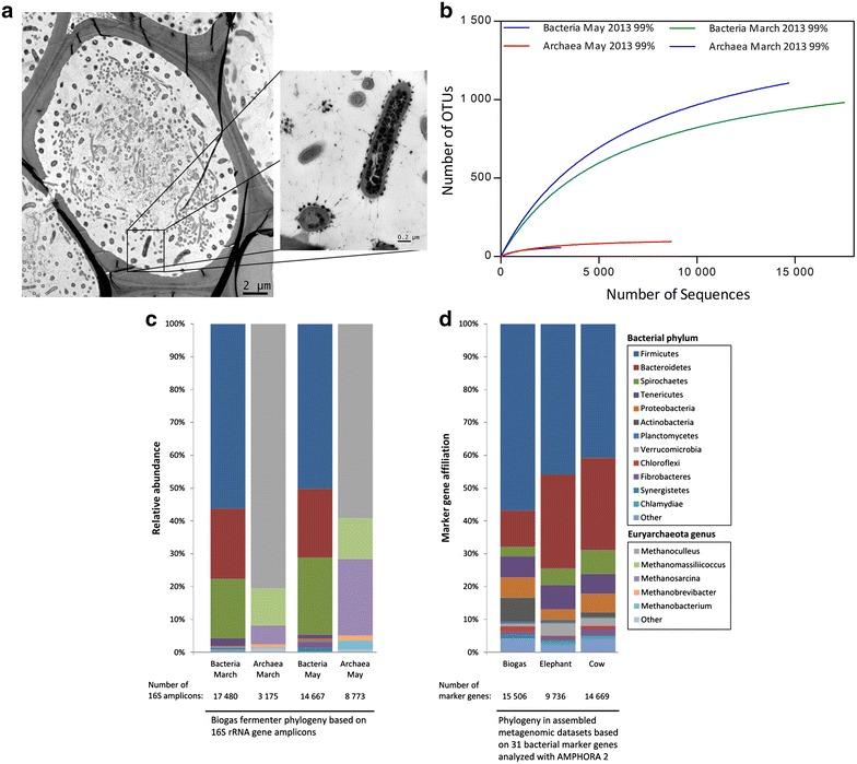 https://cdn.ncbi.nlm.nih.gov/pmc/blobs/0fe4/4897800/25992cbfa5a6/13068_2016_534_Fig1_HTML.jpg