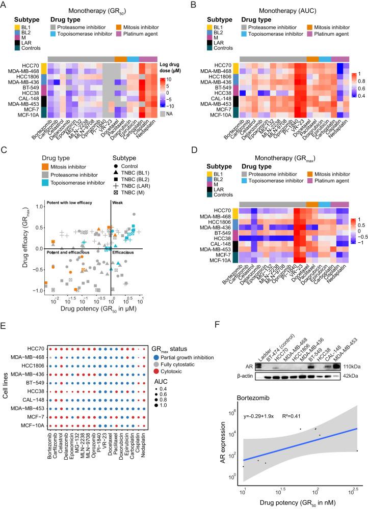 https://cdn.ncbi.nlm.nih.gov/pmc/blobs/0fe8/10825133/4a6bb51c9048/41420_2024_1819_Fig1_HTML.jpg
