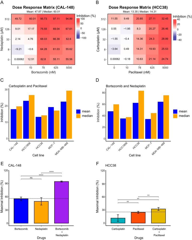 https://cdn.ncbi.nlm.nih.gov/pmc/blobs/0fe8/10825133/bfc964a38b8e/41420_2024_1819_Fig4_HTML.jpg