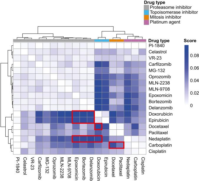 https://cdn.ncbi.nlm.nih.gov/pmc/blobs/0fe8/10825133/d44db01c19c9/41420_2024_1819_Fig3_HTML.jpg