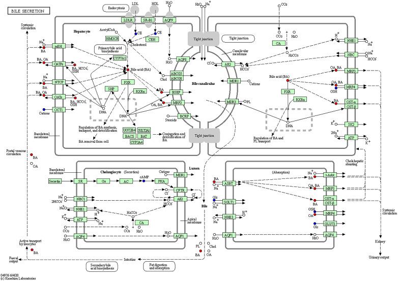 https://cdn.ncbi.nlm.nih.gov/pmc/blobs/0fe8/8493323/09770bc181e3/10.1177_15330338211045204-fig8.jpg