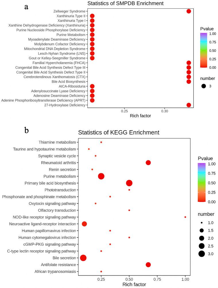 https://cdn.ncbi.nlm.nih.gov/pmc/blobs/0fe8/8493323/63207acaa80d/10.1177_15330338211045204-fig7.jpg