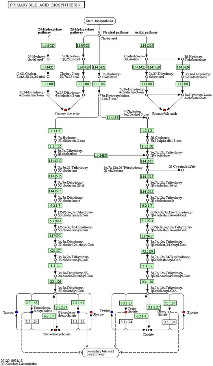 https://cdn.ncbi.nlm.nih.gov/pmc/blobs/0fe8/8493323/d6cd3a6a6c11/10.1177_15330338211045204-fig9.jpg