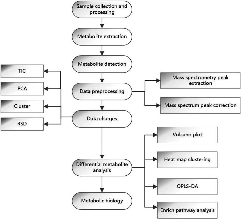 https://cdn.ncbi.nlm.nih.gov/pmc/blobs/0fe8/8493323/f2bb4e8fe107/10.1177_15330338211045204-fig2.jpg