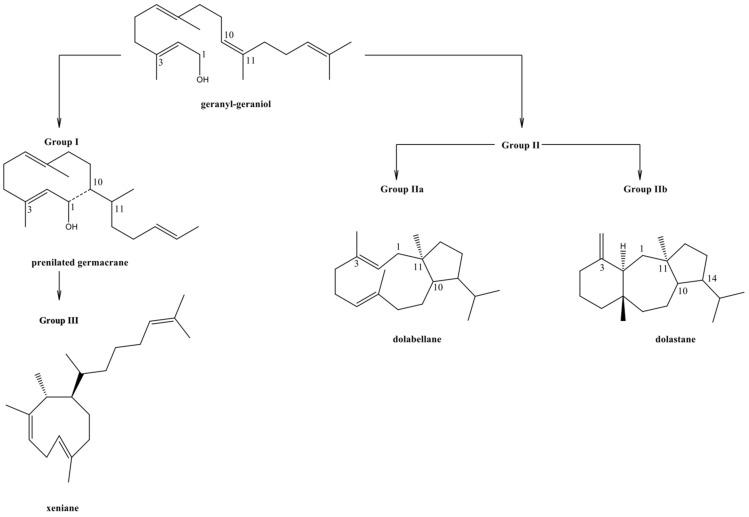 https://cdn.ncbi.nlm.nih.gov/pmc/blobs/0fe9/10532921/0eabd54c22bd/marinedrugs-21-00484-g001.jpg
