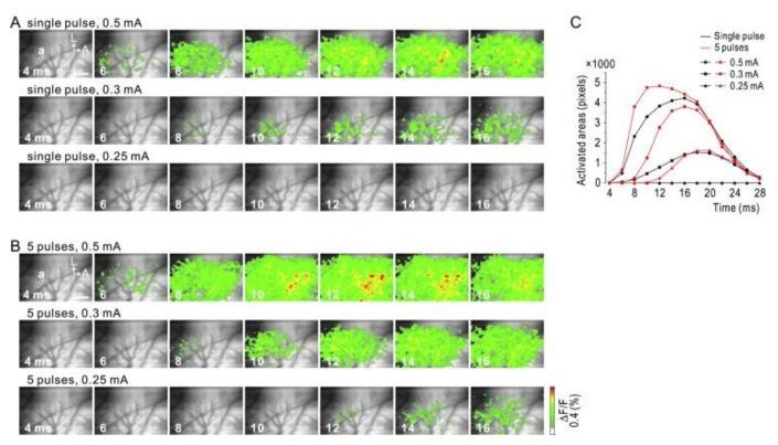 https://cdn.ncbi.nlm.nih.gov/pmc/blobs/0fea/6356841/f64b86c54aab/micromachines-10-00062-g003.jpg