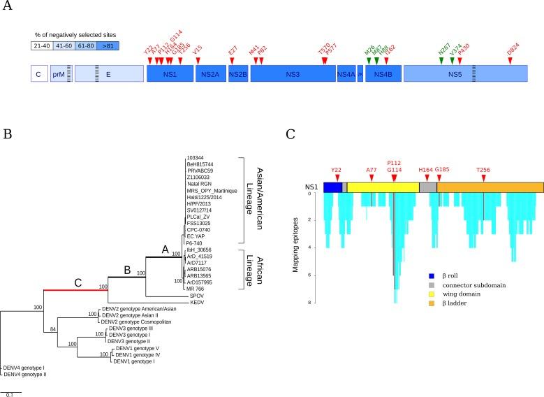 https://cdn.ncbi.nlm.nih.gov/pmc/blobs/0feb/5010288/6c195d695b91/pntd.0004978.g001.jpg