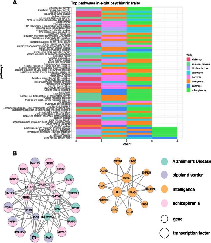 https://cdn.ncbi.nlm.nih.gov/pmc/blobs/0fef/11796105/afe57b755218/13059_2025_3485_Fig6_HTML.jpg