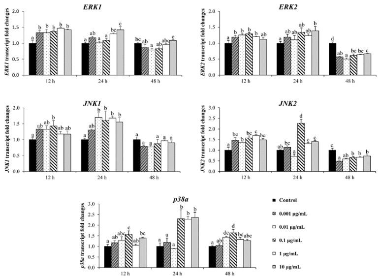 https://cdn.ncbi.nlm.nih.gov/pmc/blobs/0ff0/7072289/d353059d420c/biomolecules-10-00190-g006.jpg