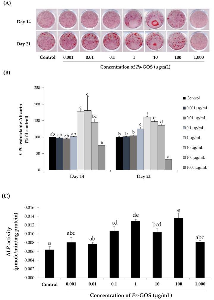 https://cdn.ncbi.nlm.nih.gov/pmc/blobs/0ff0/7072289/e3c6ee2c5f4d/biomolecules-10-00190-g003.jpg