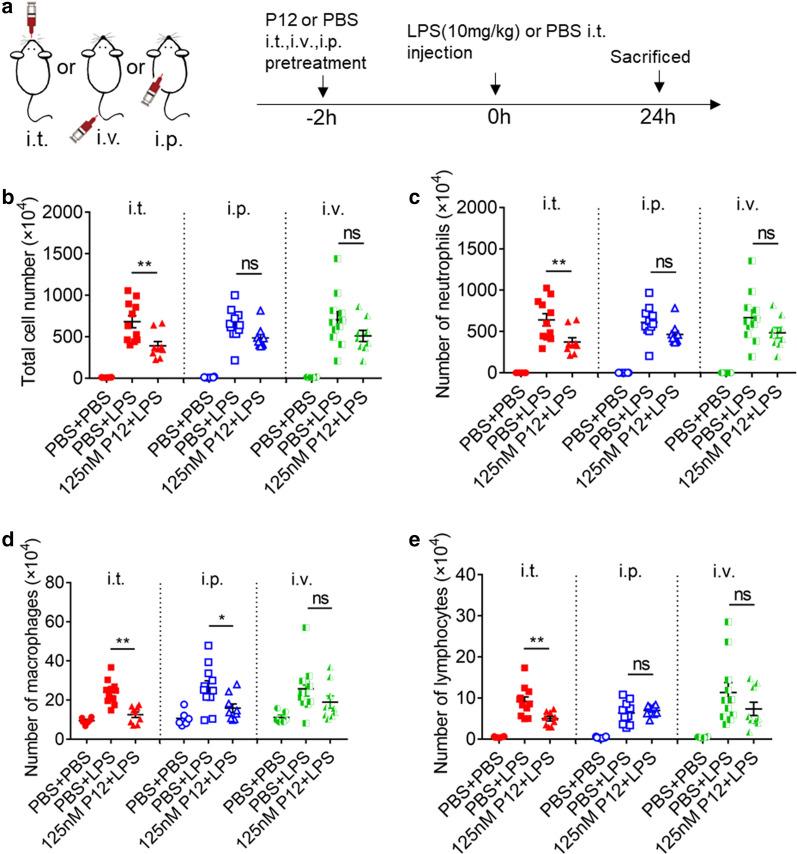 https://cdn.ncbi.nlm.nih.gov/pmc/blobs/0ff0/7905861/c4a9457fcae6/12951_2021_803_Fig2_HTML.jpg