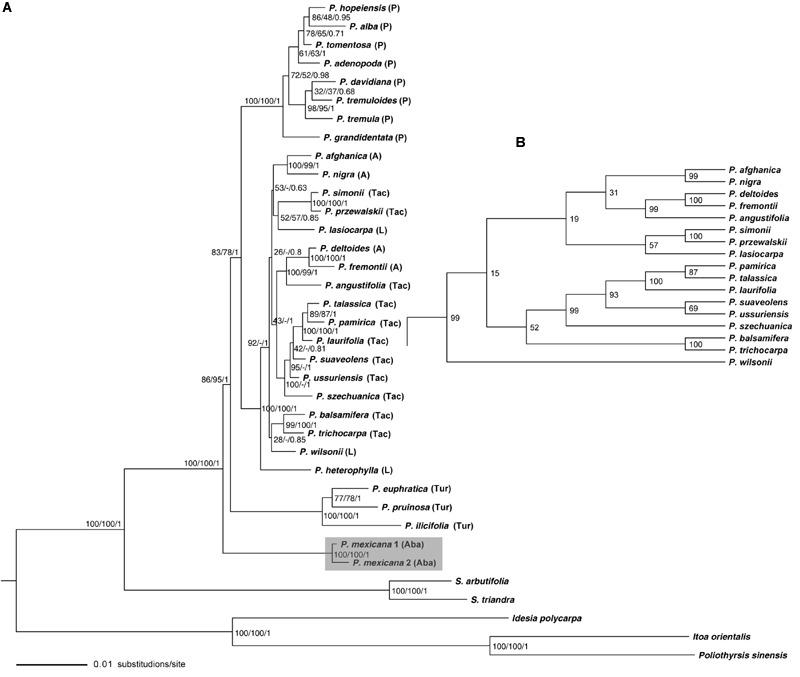 https://cdn.ncbi.nlm.nih.gov/pmc/blobs/0ff2/5209371/9a79e4a596a4/fpls-07-02022-g001.jpg