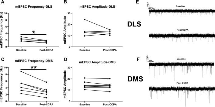 https://cdn.ncbi.nlm.nih.gov/pmc/blobs/0ff2/7973535/186199bac616/41598_2021_85513_Fig2_HTML.jpg