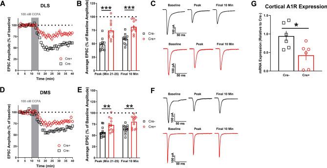 https://cdn.ncbi.nlm.nih.gov/pmc/blobs/0ff2/7973535/8665d9850765/41598_2021_85513_Fig5_HTML.jpg