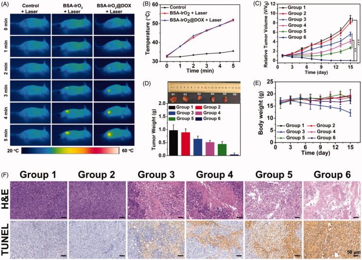 https://cdn.ncbi.nlm.nih.gov/pmc/blobs/0ff4/6758616/70a383be91b2/IDRD_A_1662513_F0006_C.jpg