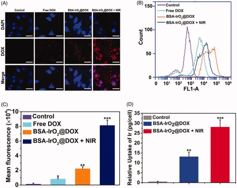 https://cdn.ncbi.nlm.nih.gov/pmc/blobs/0ff4/6758616/79d8ab6a84c2/IDRD_A_1662513_F0004_C.jpg