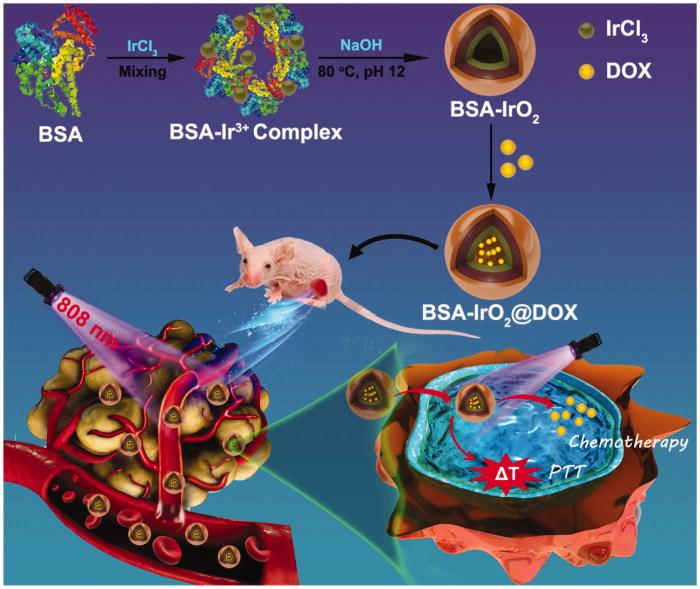 https://cdn.ncbi.nlm.nih.gov/pmc/blobs/0ff4/6758616/86d3b8ceffe5/IDRD_A_1662513_F0001_C.jpg