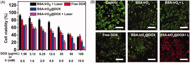 https://cdn.ncbi.nlm.nih.gov/pmc/blobs/0ff4/6758616/995421155aba/IDRD_A_1662513_F0005_C.jpg