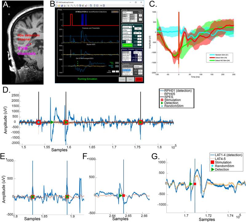 https://cdn.ncbi.nlm.nih.gov/pmc/blobs/0ff4/7805582/89a9470d39dc/nihms-1657550-f0003.jpg