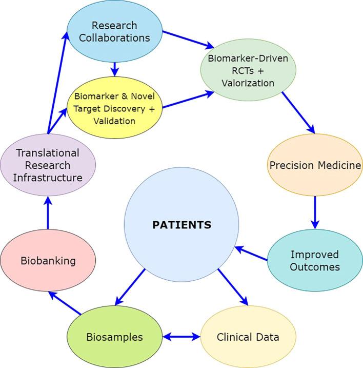 https://cdn.ncbi.nlm.nih.gov/pmc/blobs/0ff7/11532112/1f34255694de/fonc-14-1424293-g005.jpg