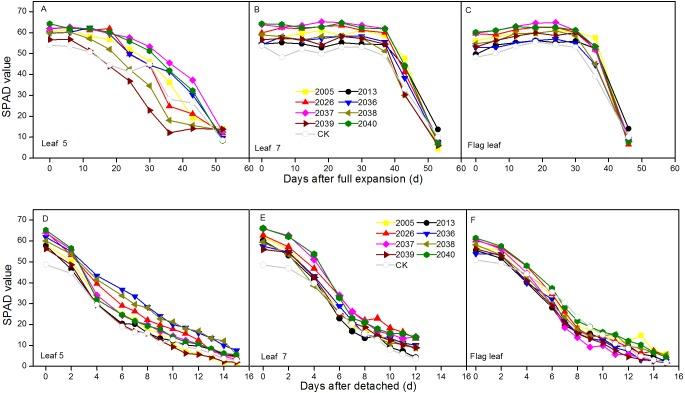 https://cdn.ncbi.nlm.nih.gov/pmc/blobs/0ff7/6166621/fc0278378476/peerj-06-5532-g003.jpg
