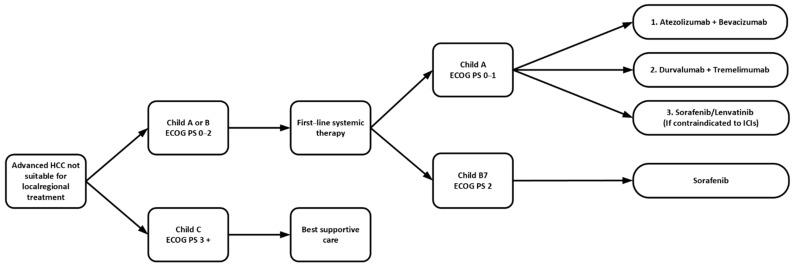 https://cdn.ncbi.nlm.nih.gov/pmc/blobs/0ff7/9406660/6fc4b6a86cfe/curroncol-29-00434-g001.jpg
