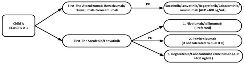 https://cdn.ncbi.nlm.nih.gov/pmc/blobs/0ff7/9406660/bd05bdd52a15/curroncol-29-00434-g002.jpg