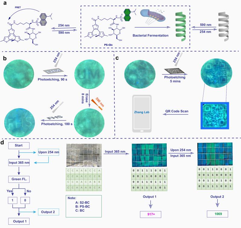 https://cdn.ncbi.nlm.nih.gov/pmc/blobs/0ff9/11779823/333e6591356d/41467_2025_56253_Fig8_HTML.jpg