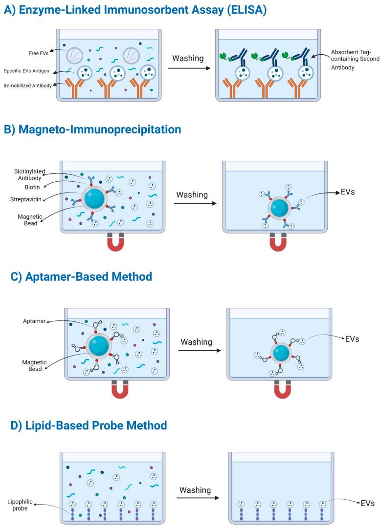 https://cdn.ncbi.nlm.nih.gov/pmc/blobs/0ffa/11812630/28483d807d1f/d4na00393d-f4.jpg