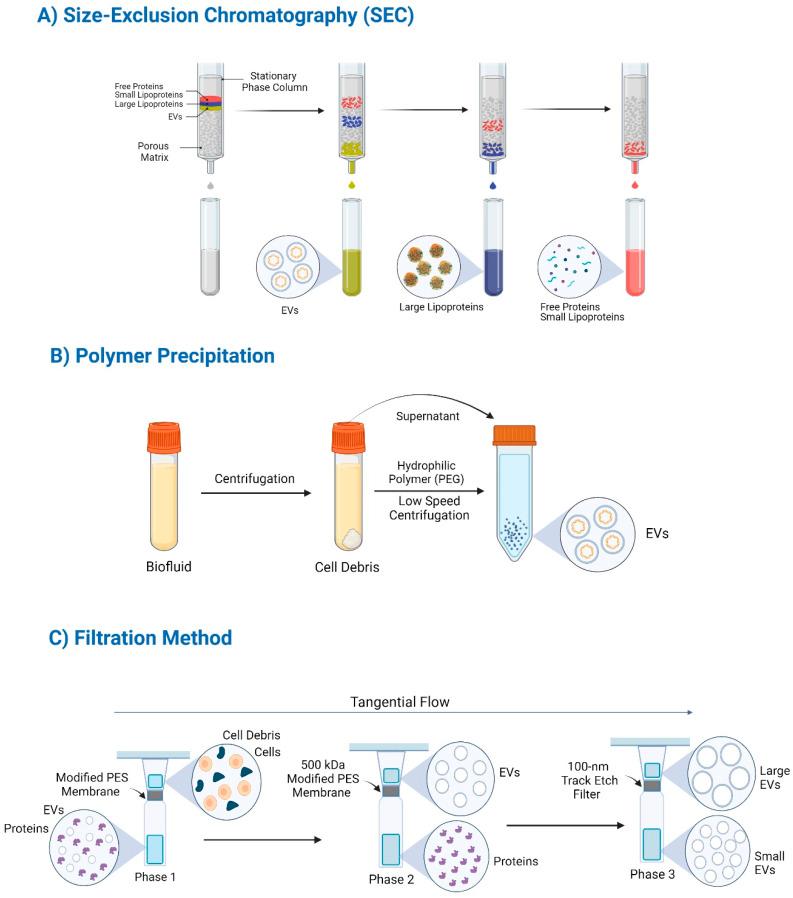 https://cdn.ncbi.nlm.nih.gov/pmc/blobs/0ffa/11812630/ab90e5a2ddaf/d4na00393d-f3.jpg