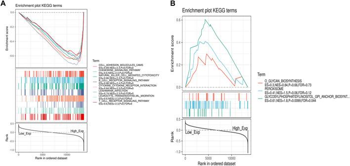 https://cdn.ncbi.nlm.nih.gov/pmc/blobs/0ffa/8899515/846e33ffb740/fphar-13-857289-g006.jpg