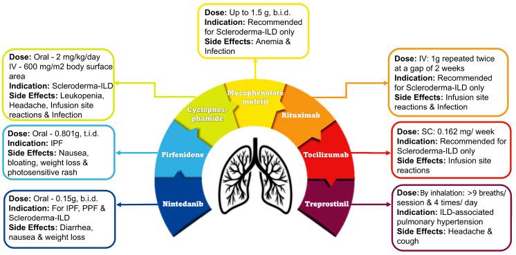 https://cdn.ncbi.nlm.nih.gov/pmc/blobs/0ffe/12408203/07a34a3568ef/bt-33-5-785-f4.jpg