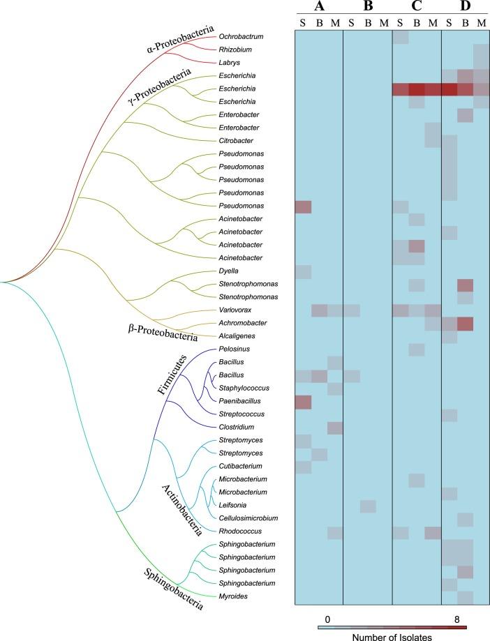 https://cdn.ncbi.nlm.nih.gov/pmc/blobs/1005/6494816/8b12ca9c6204/41598_2019_42734_Fig3_HTML.jpg
