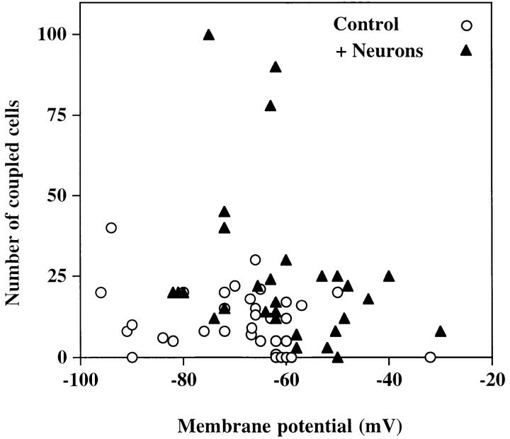 https://cdn.ncbi.nlm.nih.gov/pmc/blobs/1006/2175141/c3baf928dbe5/JCB0001050.f6.jpg