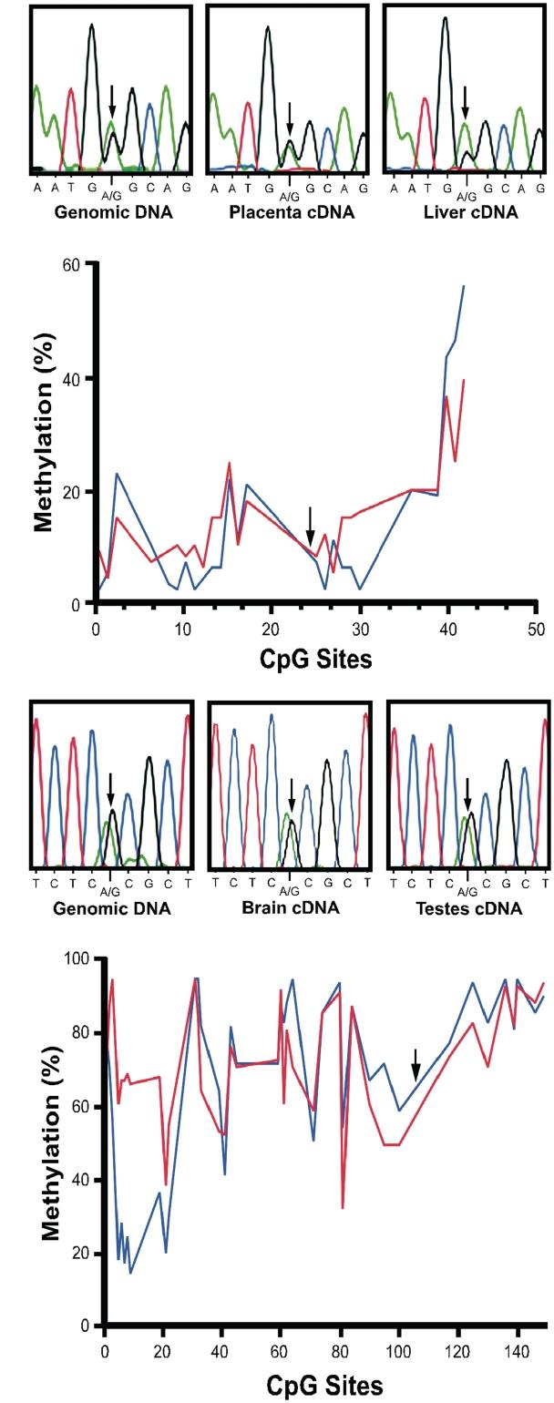 https://cdn.ncbi.nlm.nih.gov/pmc/blobs/1006/3141237/586f8dff1939/gkr108f6.jpg