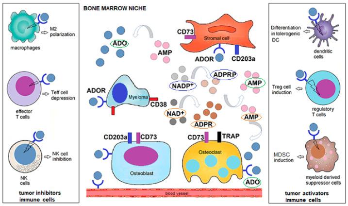 https://cdn.ncbi.nlm.nih.gov/pmc/blobs/1007/7587951/caeb1974ddbf/molecules-25-04844-g003.jpg