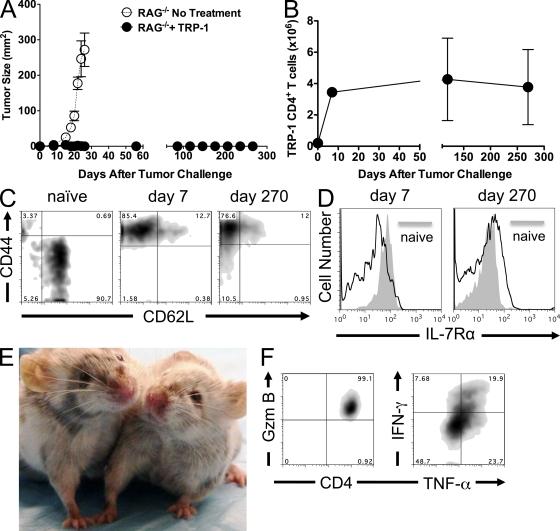https://cdn.ncbi.nlm.nih.gov/pmc/blobs/100a/2839147/255a466dd965/JEM_20091921_RGB_Fig5.jpg
