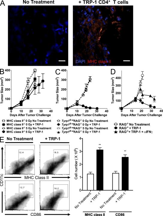 https://cdn.ncbi.nlm.nih.gov/pmc/blobs/100a/2839147/a760c3da28d4/JEM_20091921_RGB_Fig4.jpg