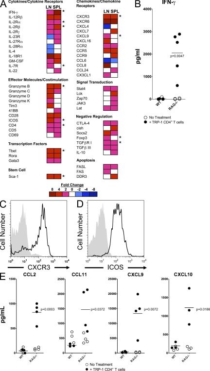 https://cdn.ncbi.nlm.nih.gov/pmc/blobs/100a/2839147/ab0ca8a0e033/JEM_20091921_RGB_Fig2.jpg