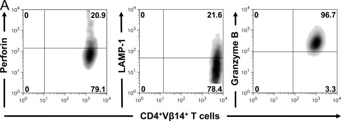 https://cdn.ncbi.nlm.nih.gov/pmc/blobs/100a/2839147/d59b246c69fc/JEM_20091921_GS_Fig3.jpg