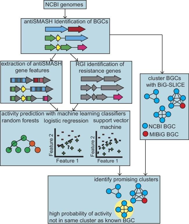https://cdn.ncbi.nlm.nih.gov/pmc/blobs/100c/10548851/cde44aa293e0/kuad024fig1.jpg