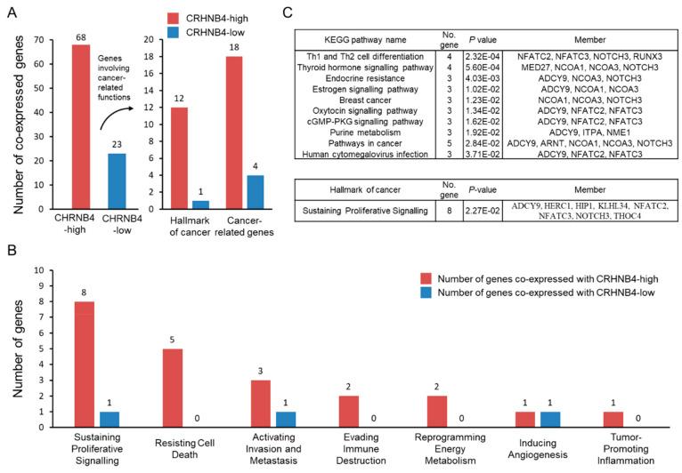https://cdn.ncbi.nlm.nih.gov/pmc/blobs/100c/7281299/75a9ac639572/cancers-12-01324-g003.jpg