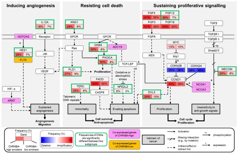 https://cdn.ncbi.nlm.nih.gov/pmc/blobs/100c/7281299/8f3c926b2723/cancers-12-01324-g005.jpg