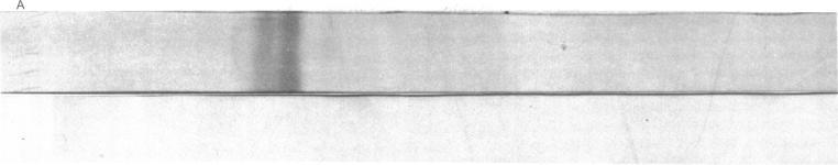 https://cdn.ncbi.nlm.nih.gov/pmc/blobs/100d/411572/349a223daaa7/pnas00009-0201-a.jpg