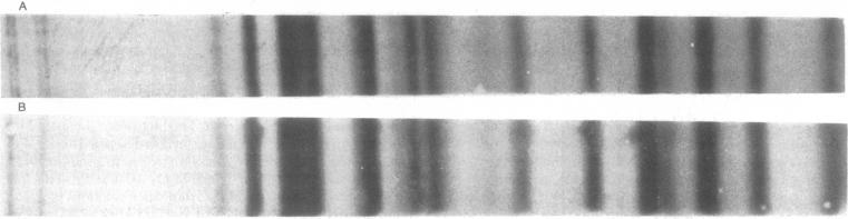 https://cdn.ncbi.nlm.nih.gov/pmc/blobs/100d/411572/df0898f2648e/pnas00009-0200-a.jpg