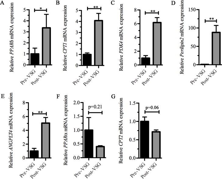 https://cdn.ncbi.nlm.nih.gov/pmc/blobs/100d/5803459/d5f9dcbaab0d/nihms897816f2.jpg