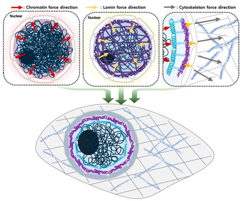 https://cdn.ncbi.nlm.nih.gov/pmc/blobs/100f/10607757/b040bd9f9c48/ijms-24-15497-g002.jpg