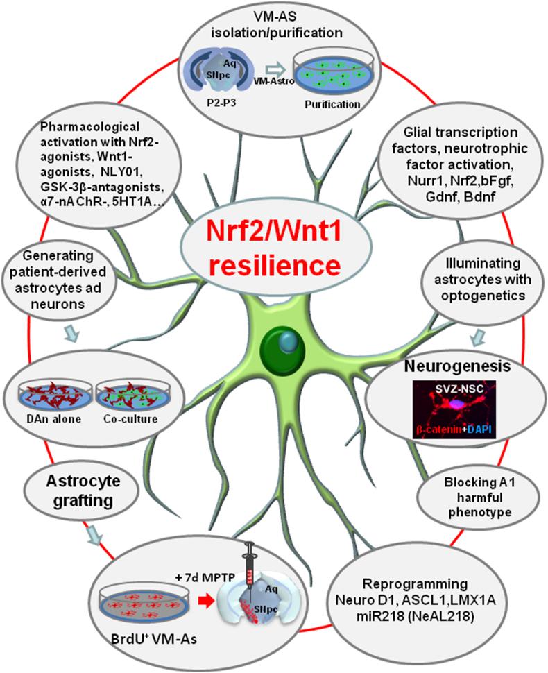 https://cdn.ncbi.nlm.nih.gov/pmc/blobs/100f/7472866/bcdb69f4eaea/gr8.jpg